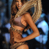2e172d18467794.gif