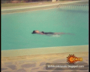 Madhavi in a Black Swimsuit - Sexy Captures from a Kanada Movie...