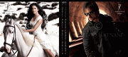 Bollywood Babes get Bolder & Hotter for Daboo Ratnani's 2009 Calendar...