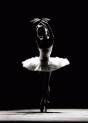 Image en vrac de classique 060d0028730344
