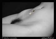 Nude Art: 233 fotos + descarga