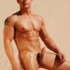 imagebam.com