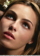 40cae644127497.gif