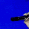 free image host