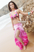 Neetu Chandra Bikini Pics